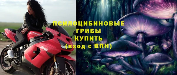 героин Алзамай