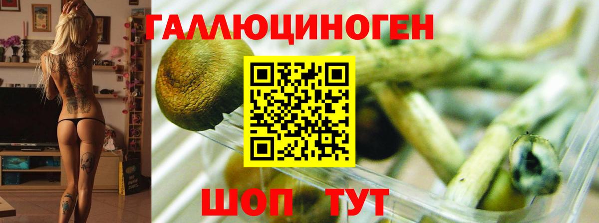 Галлюциногенные грибы Magic Shrooms  Вход с VPN  Ревда 
